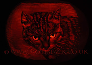 Pumpkin Carving of a Cat