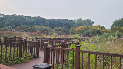 경기도 성남에서 피크닉 하기 좋은 율동공원 주차방법, 시설 소개-데크 및 갈대밭