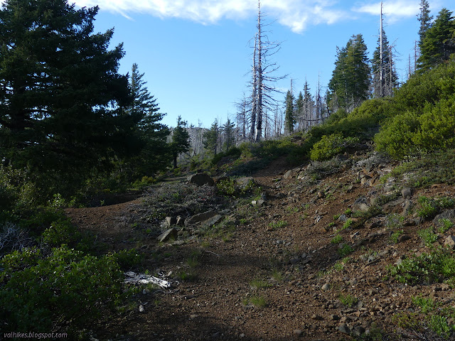 road on the left and trail on the right