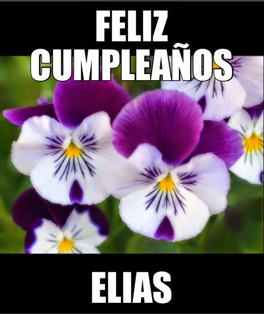 Happy birthday; imagenes 