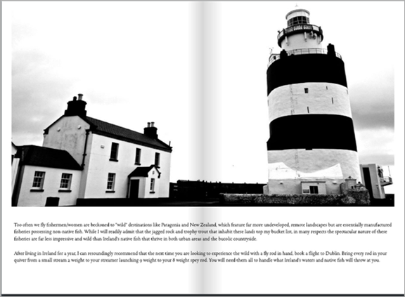 Wexford bass fishing
