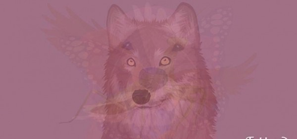 clip_image006