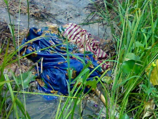 Wanita mati di Sawah Padi  MERADONG TODAY