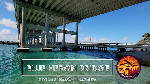 Blue Heron Bridge - January 2023