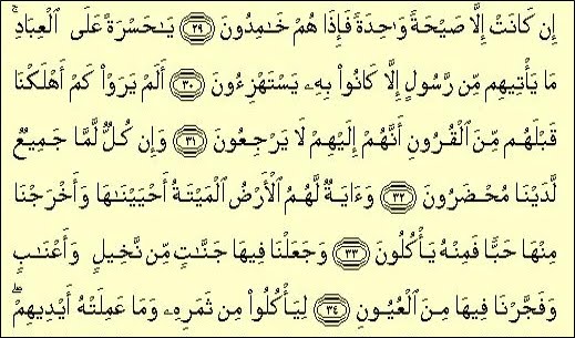 SURAH YASIN