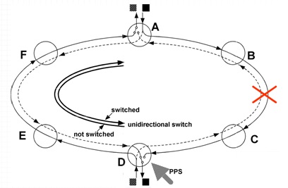 SNCP(Unidirectional Ring) / 2F-UPSR (2)