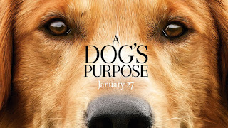 A Dog’s Purpose Torrent Download Full Movie