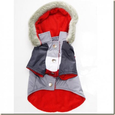 ropa para perros  pequeños-bb