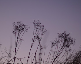 sunset on a frosty winter day in the countryside in Norfolk