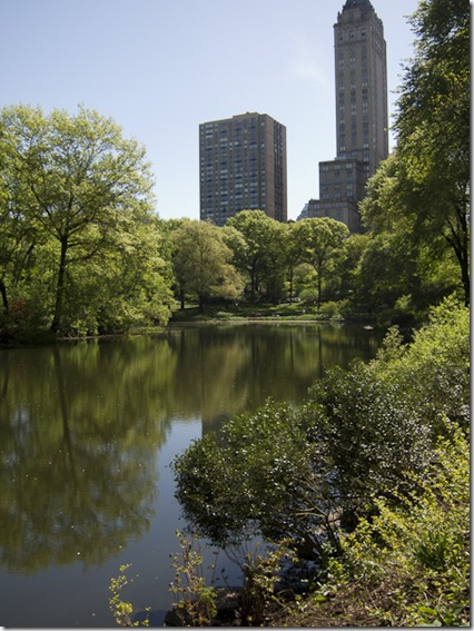 Central Park-2