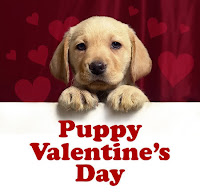 Cute Puppy Valentine Card