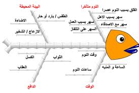 الأسباب والنتيجية4