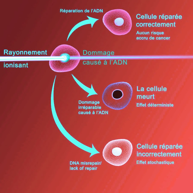 radiation harmful effects antivirus