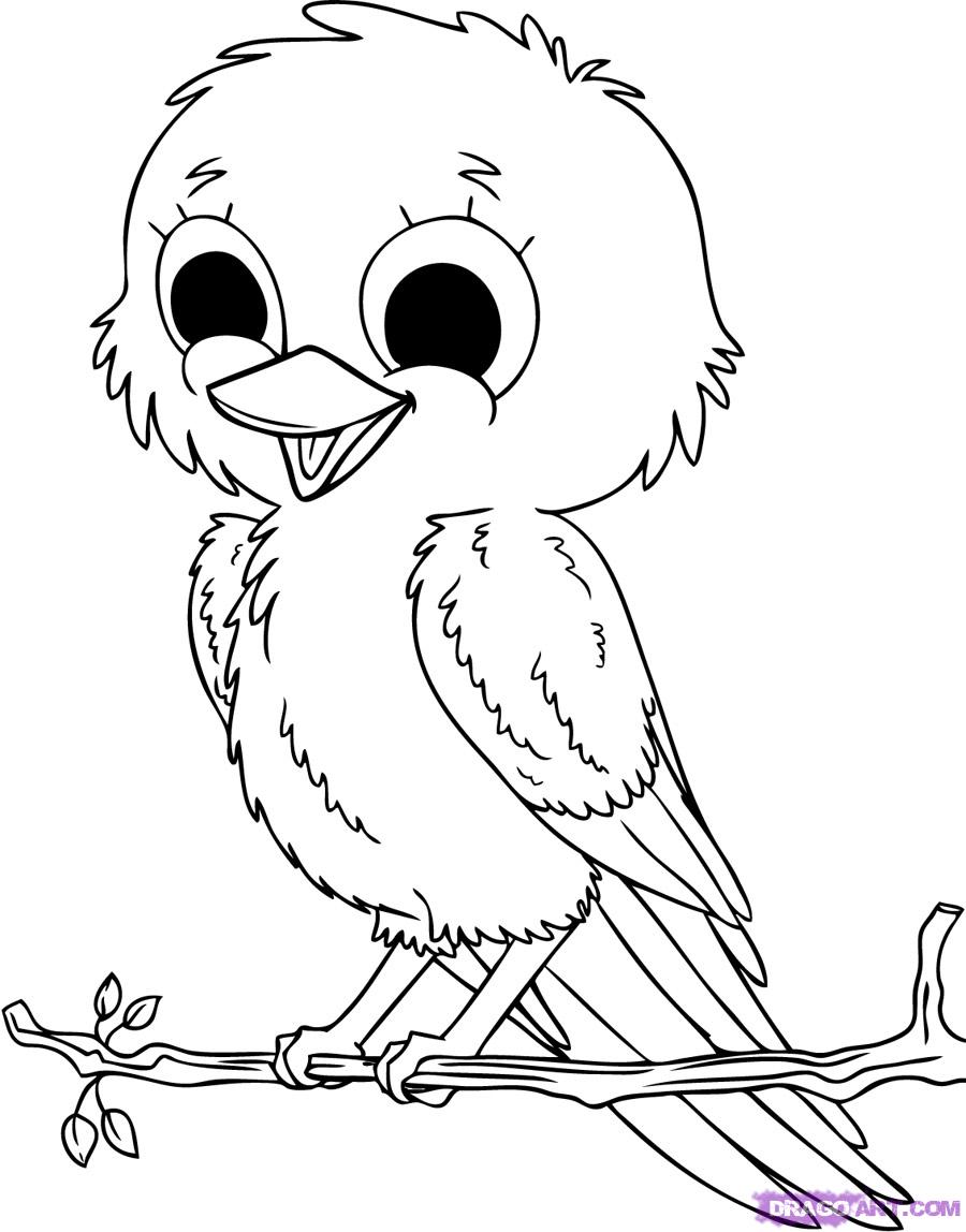 Download Baby Birds Coloring Pages