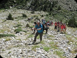 IMG_0074