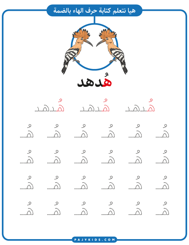 تعليم الاطفال الحروف العربية - تدريب كتابة حرف هـ بالضمة