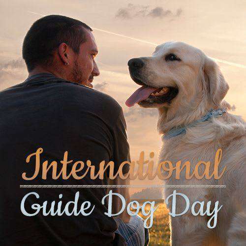 International Guide Dog Day Wishes Photos