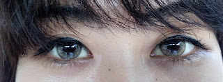 Review Kawaigankyu Softlens Sweety Lens - Sweety Pony Brown