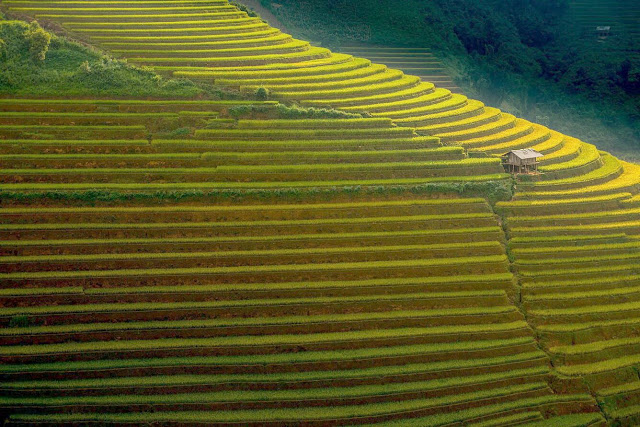 Ngoài chụp ảnh và ngắm cảnh, du khách đến nơi đây thời điểm này có thể tham gia các hoạt động trải nghiệm như bắt cá chép ruộng, gặt lúa và làm cốm. Ngoài ra, bạn còn có thể xem các lễ thức liên quan đến tín ngưỡng nông nghiệp như lễ cúng cơm mới và lễ đóng kho của người dân địa phương.