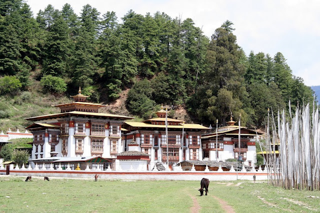 bhutan packages from delhi