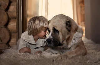 ¿Animales para niños: que elegir?