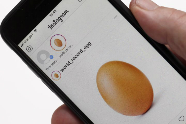 EGG