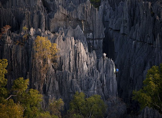 tsingy,tsingy stone forest,stone forest