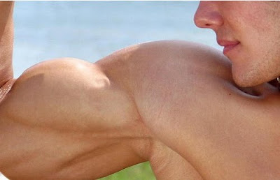 Workouts Without Equipment For Biceps