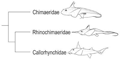Palaeos, la historia de la Vida en la Tierra: Las quimeras ...