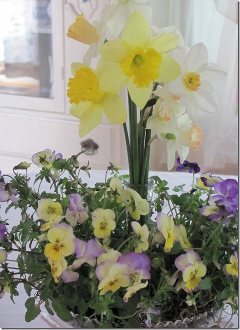 flowers2