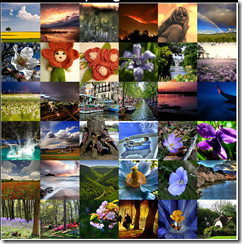 flickrcc_spring