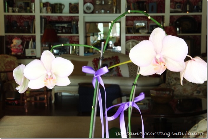 Orchid Centerpiece-Bargain Decorating with Laurie