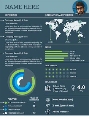 International infographic resume