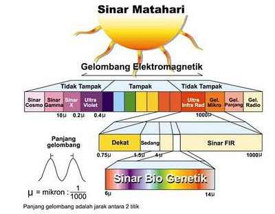 Apa itu Biofir