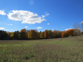 autumn colors