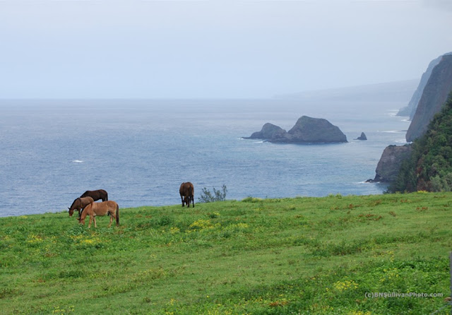 Pololu, Hawaii