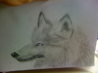 wolf sketch