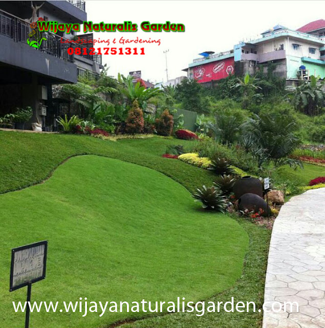 Tukang Taman Surabaya,,Tukang Taman Surabaya Garden Center,Tukang Taman Surabaya Jasa pembuatan taman dan kolam minimalis Surabaya,Tukang Taman Surabaya alam asri,Tukang Taman Surabaya,Tukang Taman Surabaya murah,Tukang Taman Surabaya barat,Tukang Taman di Surabaya,Harga Tukang Taman Surabaya,Tukang Taman Murah di Surabaya,Jasa Tukang Taman di Surabaya,Tukang Buat Taman di Surabaya,Jasa Tukang Taman Surabaya,Tukang Taman Murah Surabaya,Tukang Taman di Surabaya,Tukang Taman Surabaya Wijaya Naturalis,Tukang Pembuatan Taman Surabaya,Ahli Tukang Taman di Surabaya,Tempat Tukang Pembuatan Taman di Surabaya,Jasa Tukang Pembuatan Taman di Surabaya,Lokasi Tukang Pembuatan Taman di surabaya,Alamat Tukang Pembuatan Taman di Surabaya,Tempat Tukang Pembuatan Taman Surabaya,Jasa Tukang Pembuatan Taman Surabaya,Lokasi Tukang Pembuatan Taman Surabaya,Alamat Tukang Pembuatan Taman Surabaya