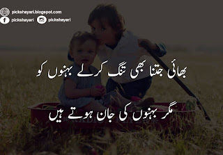 Sister and Brother Love Quotes in Urdu