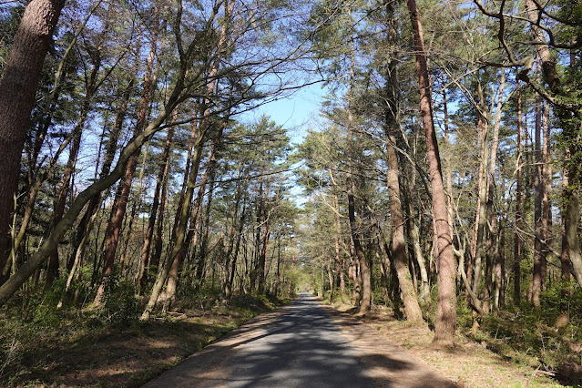 鳥取県西伯郡大山町明間