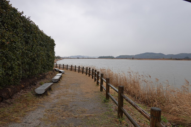 鳥取県米子市彦名新田 米子水鳥公園 水鳥観察広場からの眺望