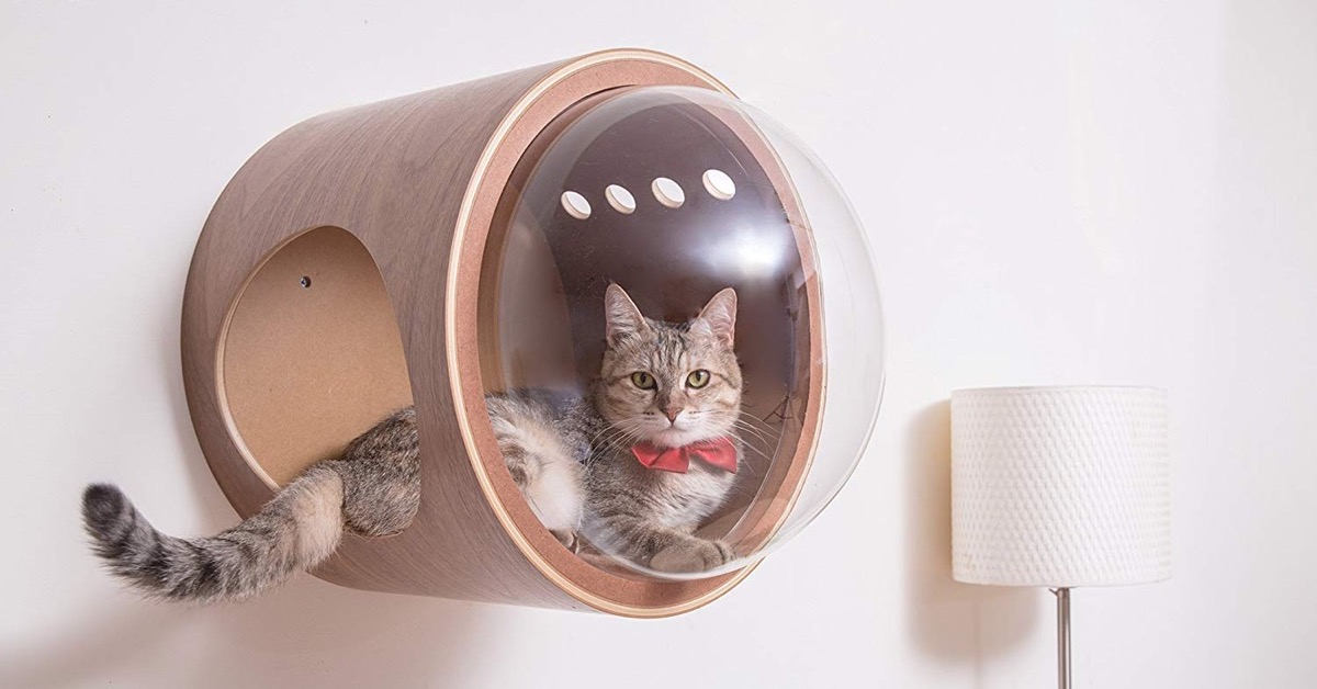 These Bizarre Cat Beds Look Like Spaceships