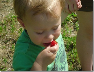 august_2012 010