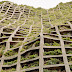 식물 vs 콘크리트의 융합 Plants vs concrete: a world of eco-brutalism unfolds inside new photography book