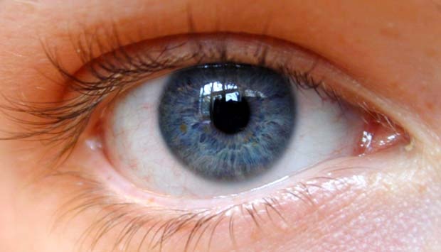 4 Penyakit Mata yang paling Umum Diderita Manusia Terbaru 