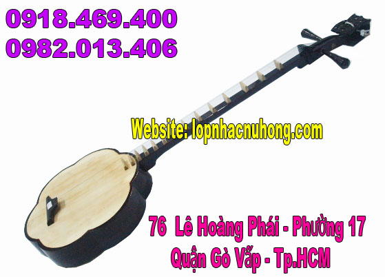 guitar binh tan 1