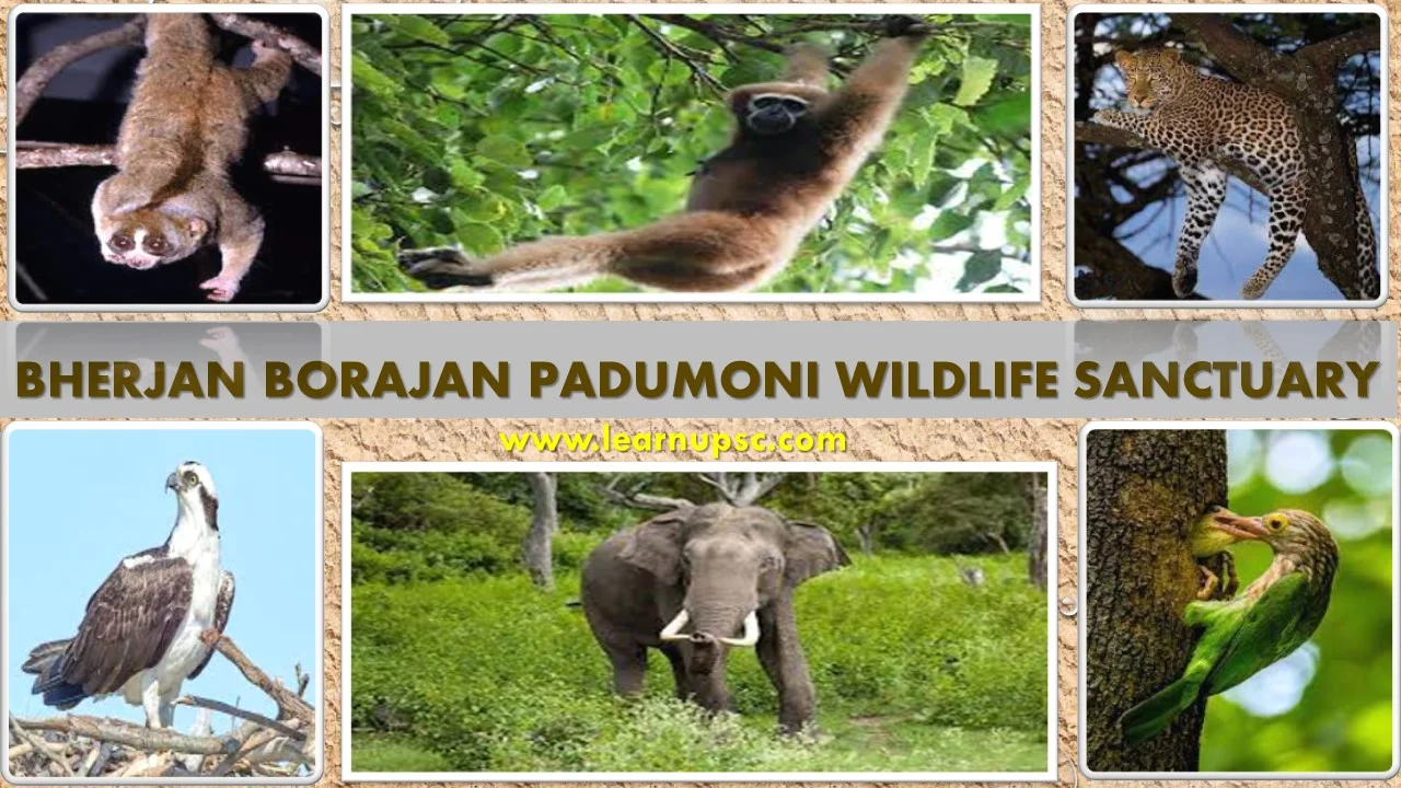 Bherjan Borajan Padumoni Wildlife Sanctuary