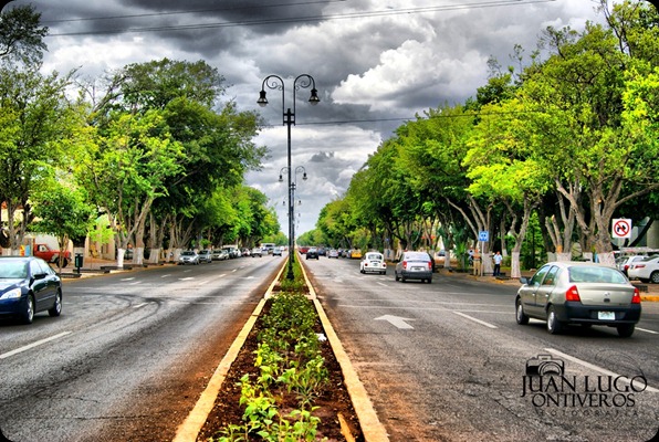 DSC09085 HDR