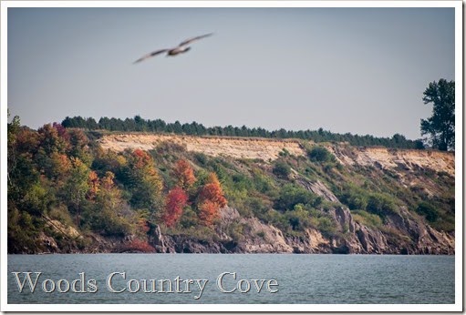 fall cliffs-1