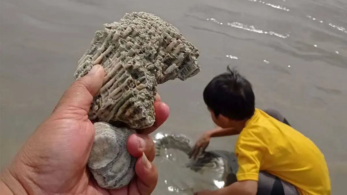 bermain pasir pantai bugel pandeglang